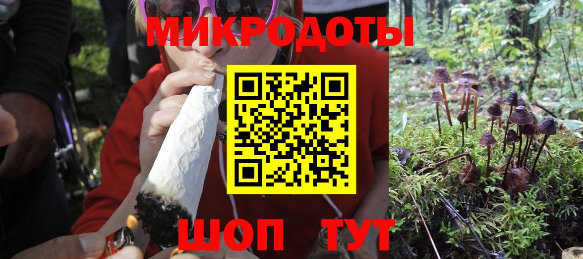 Галлюциногенные грибы Cubensis Новый Уренгой